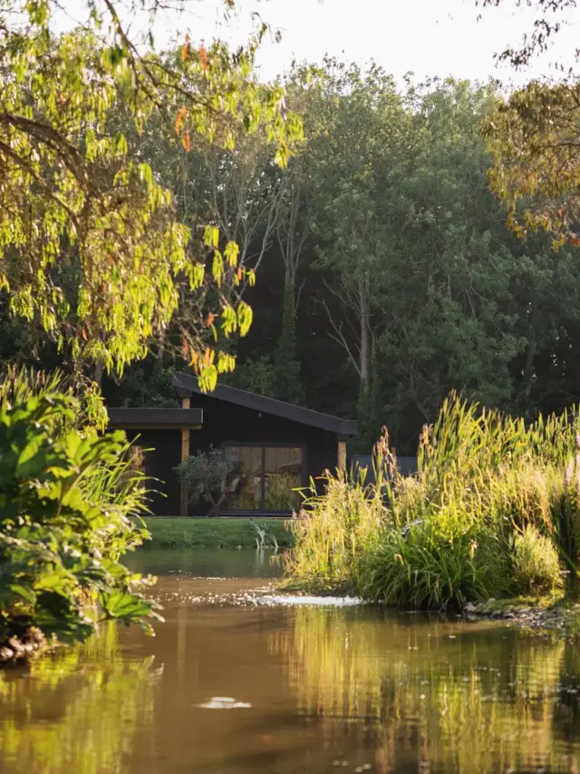 Woodland and reeds at the water's edge