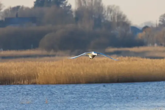 The Norfolk Broads